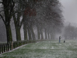 first snow has arrived