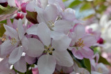 DSC_0445 Untitled.jpg