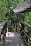 DSC_2171 Suspension bridge.jpg