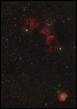 THE JELLYFISH & MONKEY NEBULAE