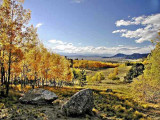 Wilkerson-Pass Changing Aspen #AC004A3