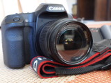 P5012003.JPG