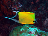 DSCF0673_resize.JPG