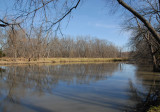 Pond