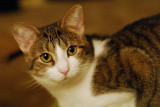 DSC_0004.NEFb.jpg