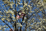 DSC_0462.jpg