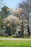 DSC_0503.jpg
