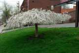 DSC_4963.jpg