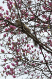 DSC_5100.jpg