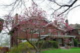 DSC_5132.jpg