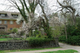 DSC_5134.jpg