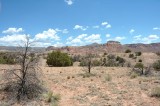 DSC_6442.jpg