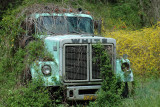 DSC_0788.jpg