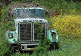 DSC_0790.jpg