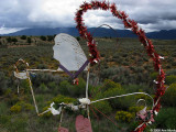 Roadside shrine