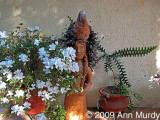 Patio sculpture at Lindas house