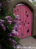 Pink doorway with lilac