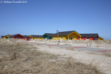 Helgoland Dune
