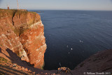 Helgoland