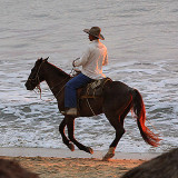 Sunset Gallop