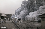 DSC_2458.jpg