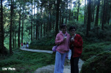 DSC_4402.jpg