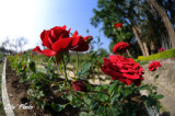 DSC_8906.jpg
