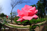 DSC_8911.jpg