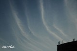 DSC_0054.jpg