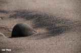 DSC_0118.jpg