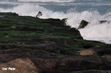 DSC_0148.jpg