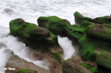 DSC_0187.jpg