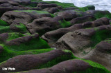 DSC_0193.jpg