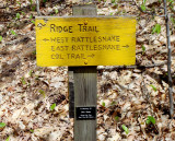 Ridge Trail Sign