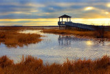Marsh Sunrise upload.jpg