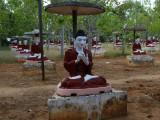 Field of buddhas.jpg
