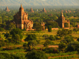 Central Plain Bagan.jpg