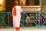 Novice nun in Sule Paya.jpg