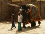 Temple elephant.jpg