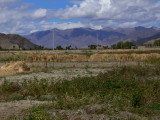 Fields near Gyantse