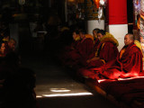 Prayer session in Drepung