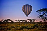 Serengeti NP, Tanzania