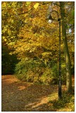 Herbst im Park