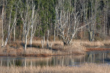 Blue Cut Nature Center