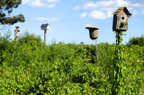 Birdhouse Garden