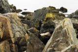 Lobsterpot in the Rocks