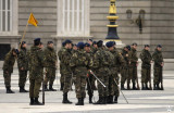 Palace Guards on Parade