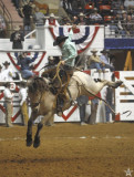 High Flyer