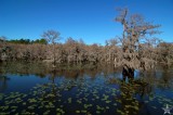 Saw Mill Lake