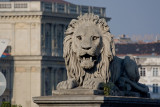 lion of the chain bridge